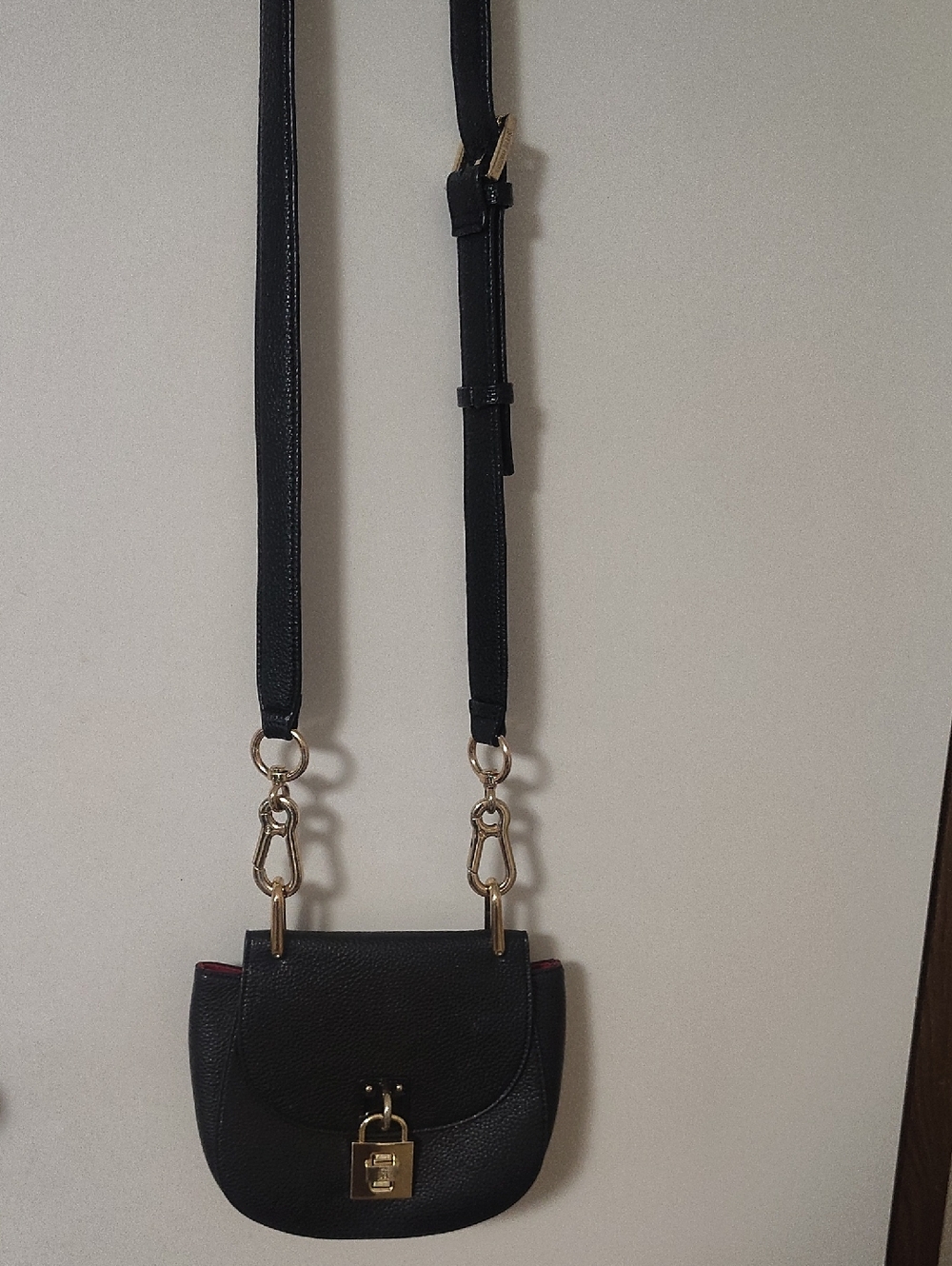 Steve Madden Black Crossbody Bag with Gold Hardware and Red Edge